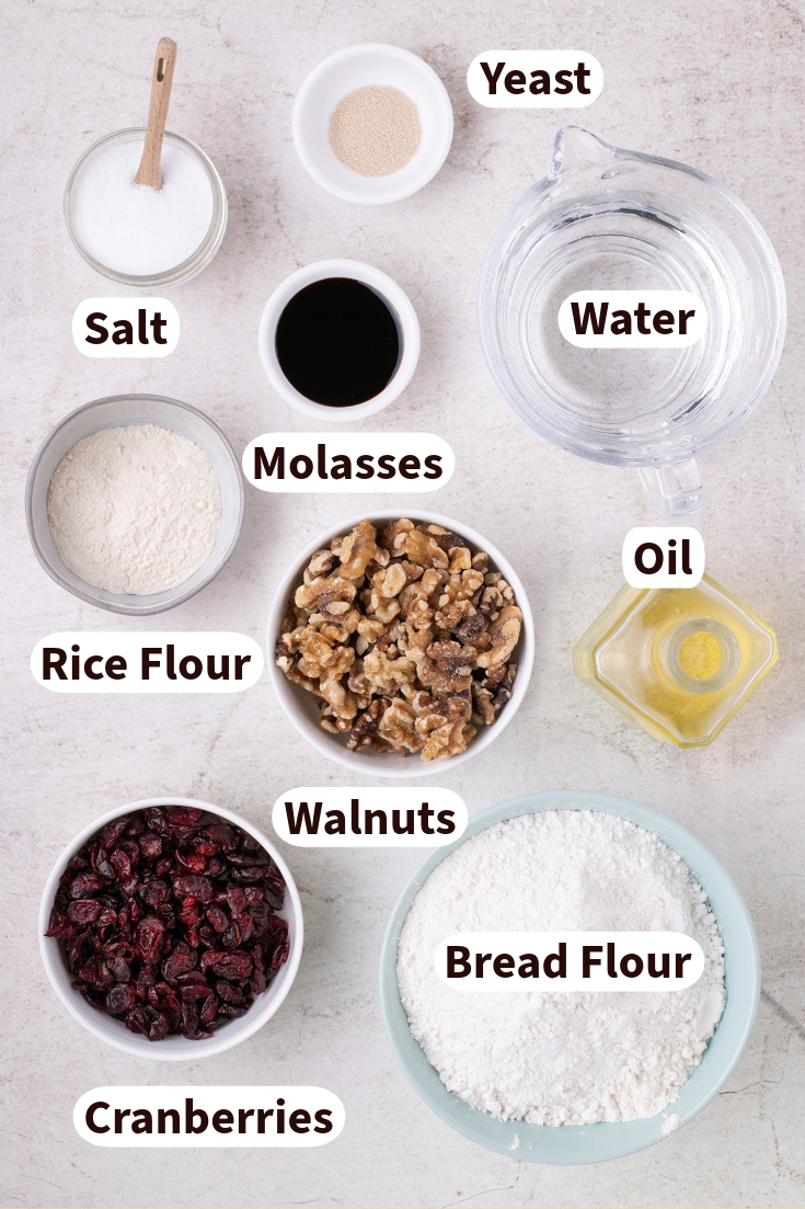 Top view of ingredients needed for cranberry walnut bread.