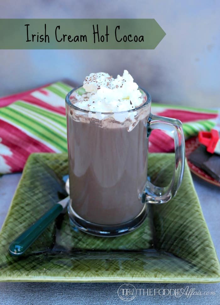 Homemade Irish Cream with Hot Cocoa - The Foodie Affair