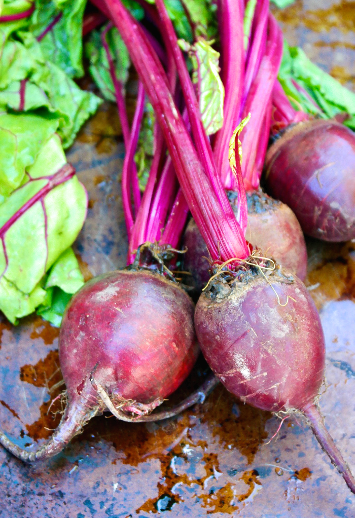 Fresh beets with green tops just washed and ready to cook.